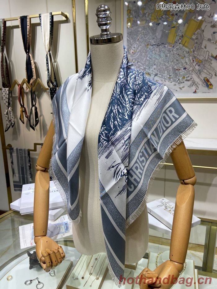 Dior Scarf DIS00035