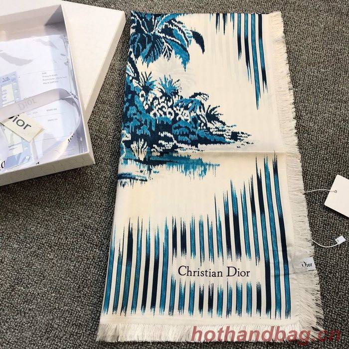 Dior Scarf DIS00040