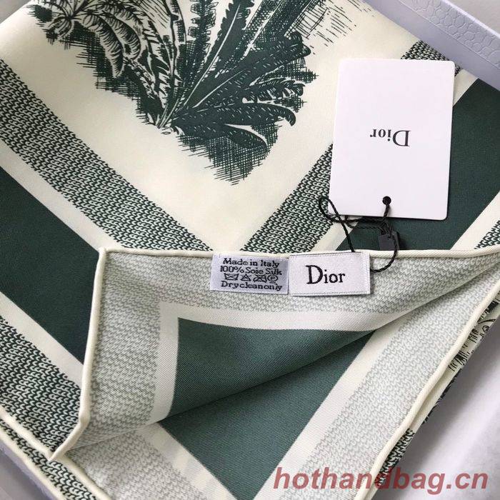 Dior Scarf DIS00043