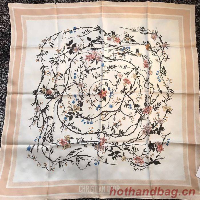 Dior Scarf DIS00044