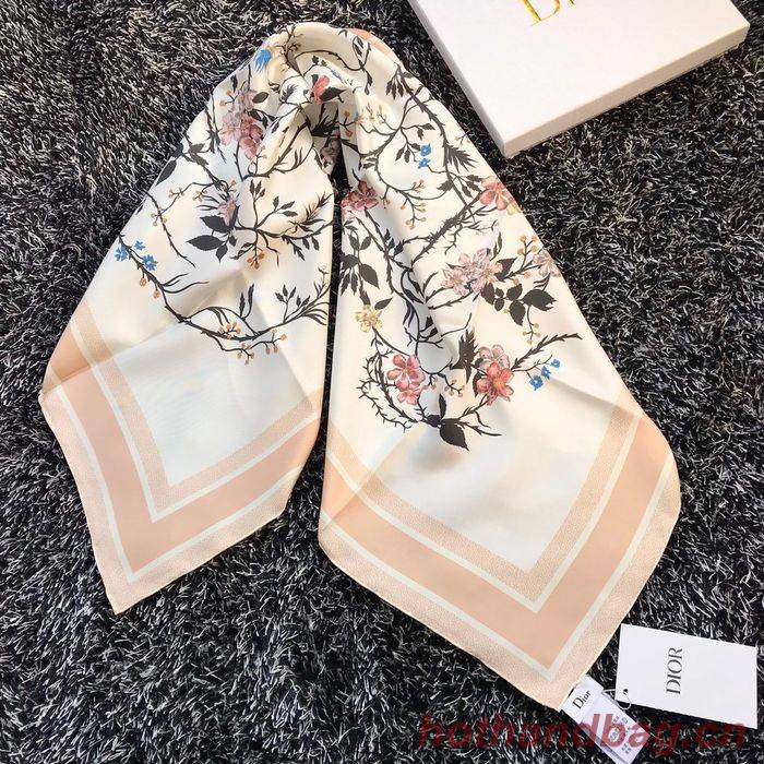 Dior Scarf DIS00044