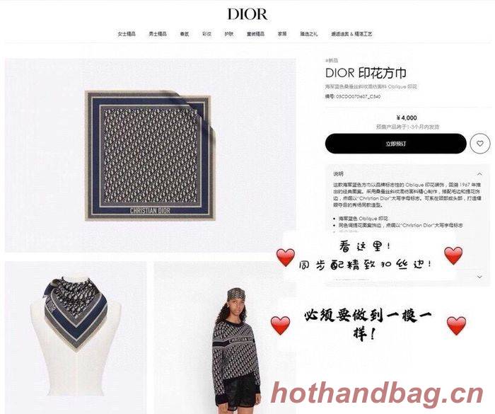 Dior Scarf DIS00054