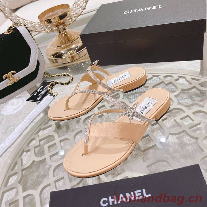 Chanel Shoes CHS00251