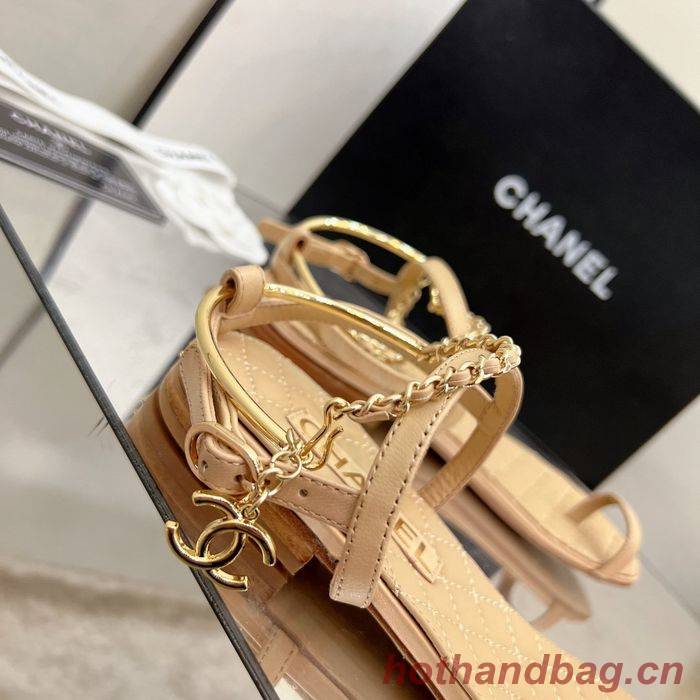 Chanel Shoes CHS00296