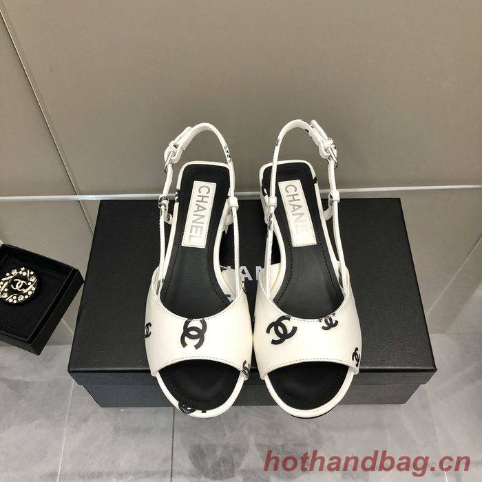 Chanel Shoes CHS00347