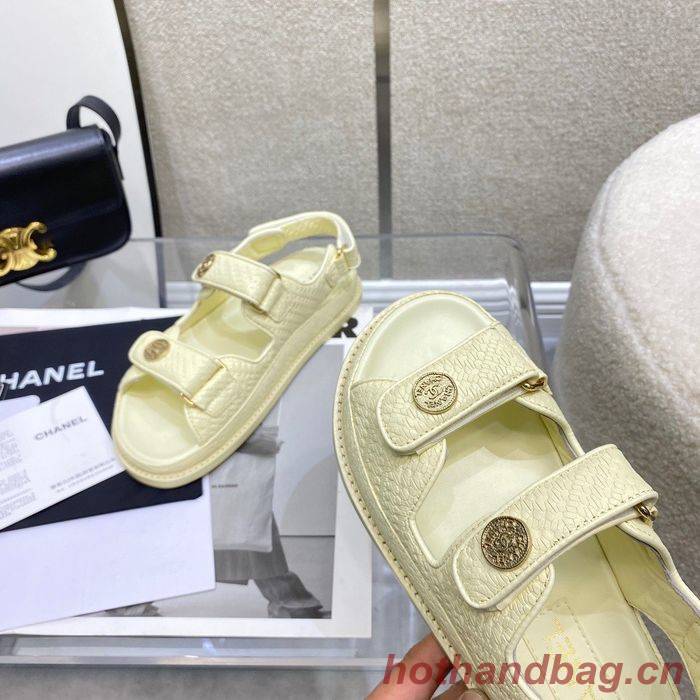 Chanel Shoes CHS00382