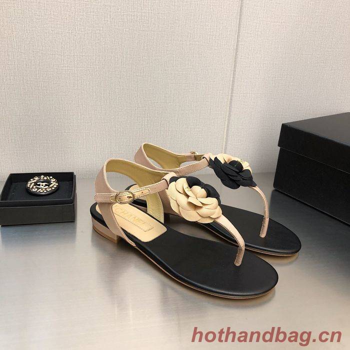 Chanel Shoes CHS00538 Heel 2.5CM