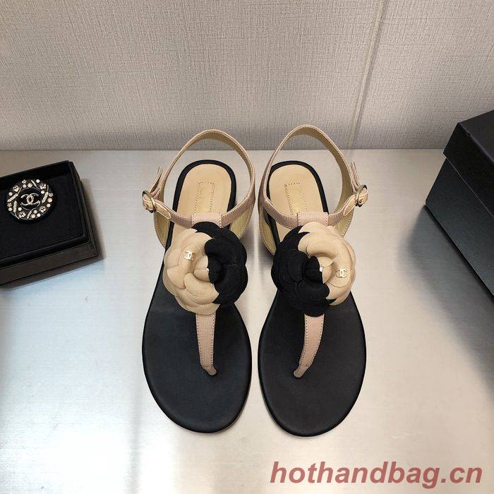 Chanel Shoes CHS00538 Heel 2.5CM