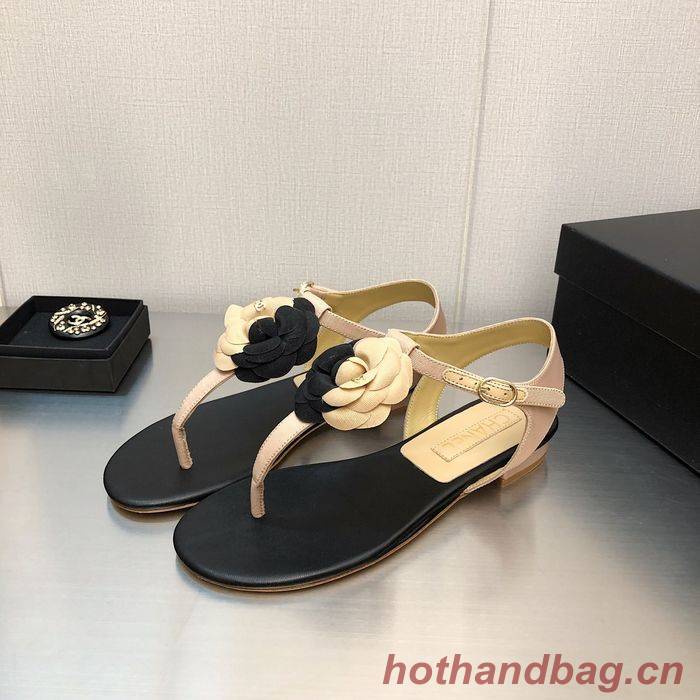 Chanel Shoes CHS00538 Heel 2.5CM