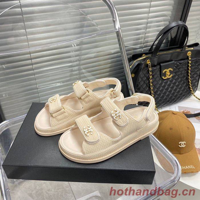 Chanel Shoes CHS00659