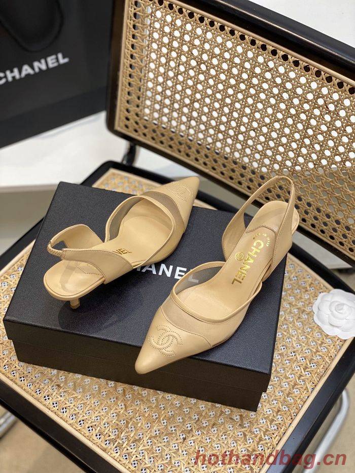 Chanel Shoes CHS00661