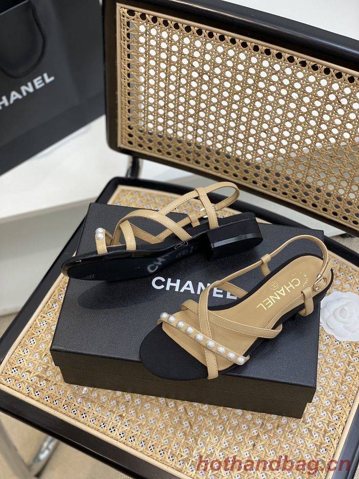 Chanel Shoes CHS00667