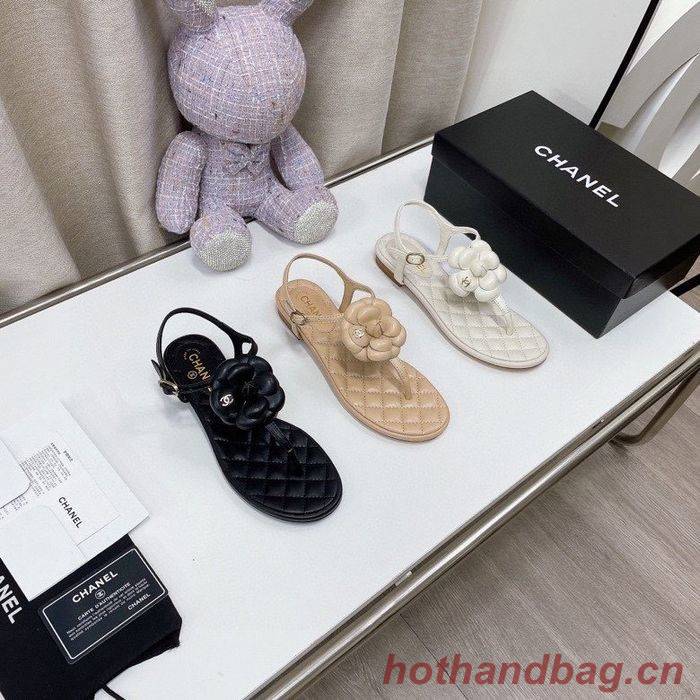 Chanel Shoes CHS00726