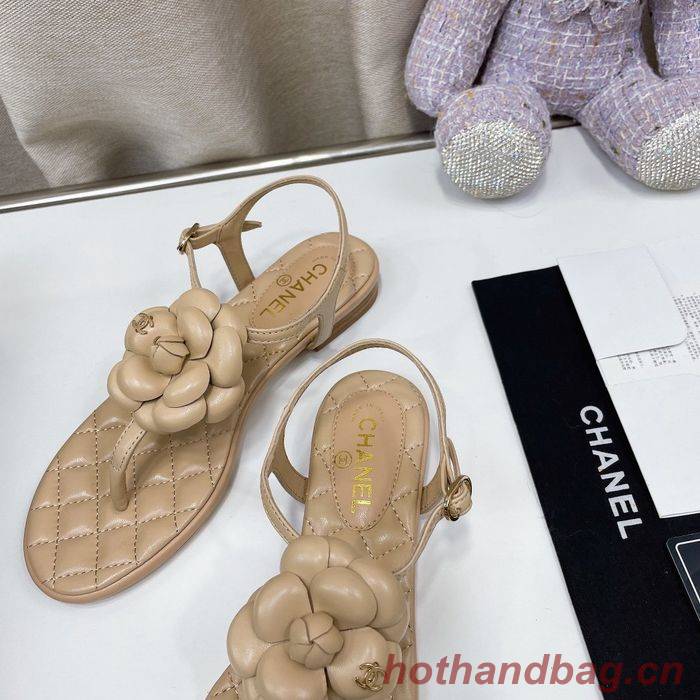 Chanel Shoes CHS00727