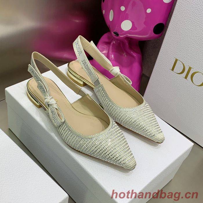 Dior Shoes DIS00008