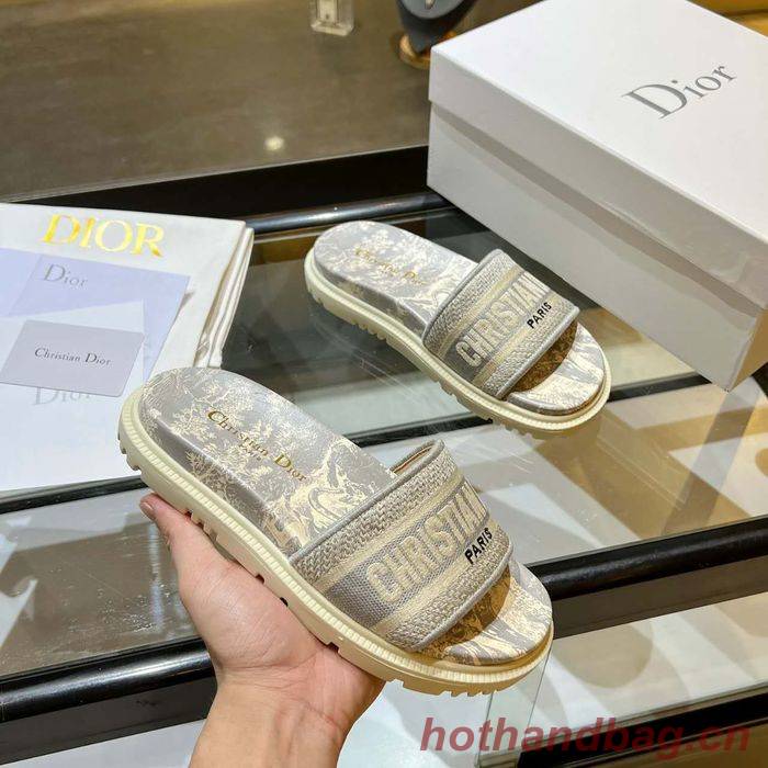 Dior Shoes DIS00174