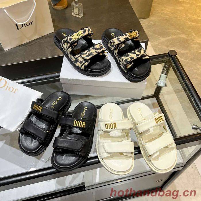 Dior Shoes DIS00205