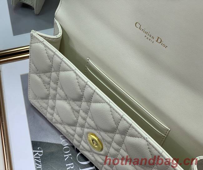 Dior BELT POUCH 2273 white