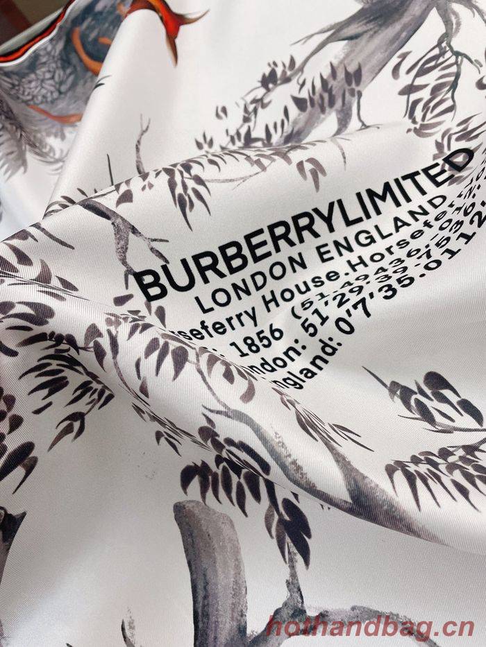 Burberry Scarf BBC00064