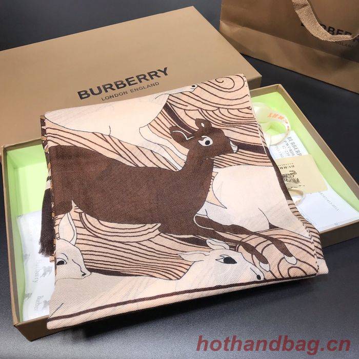 Burberry Scarf BBC00103