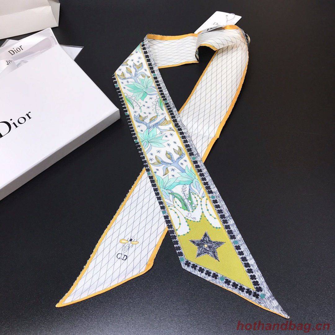 Dior Scarf DIC00008