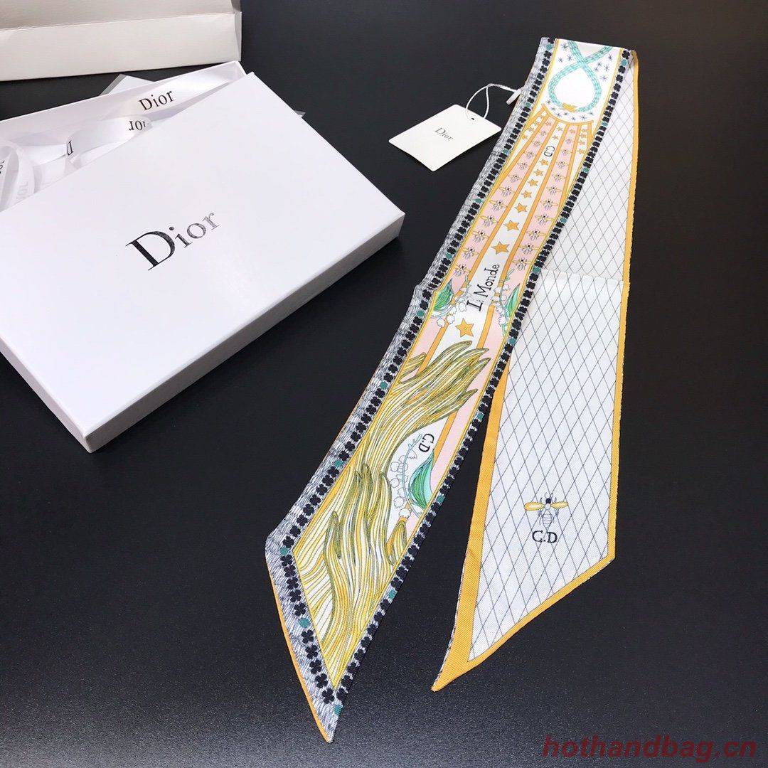 Dior Scarf DIC00008