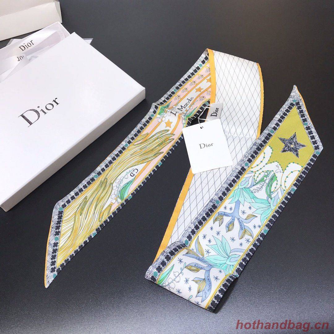 Dior Scarf DIC00008