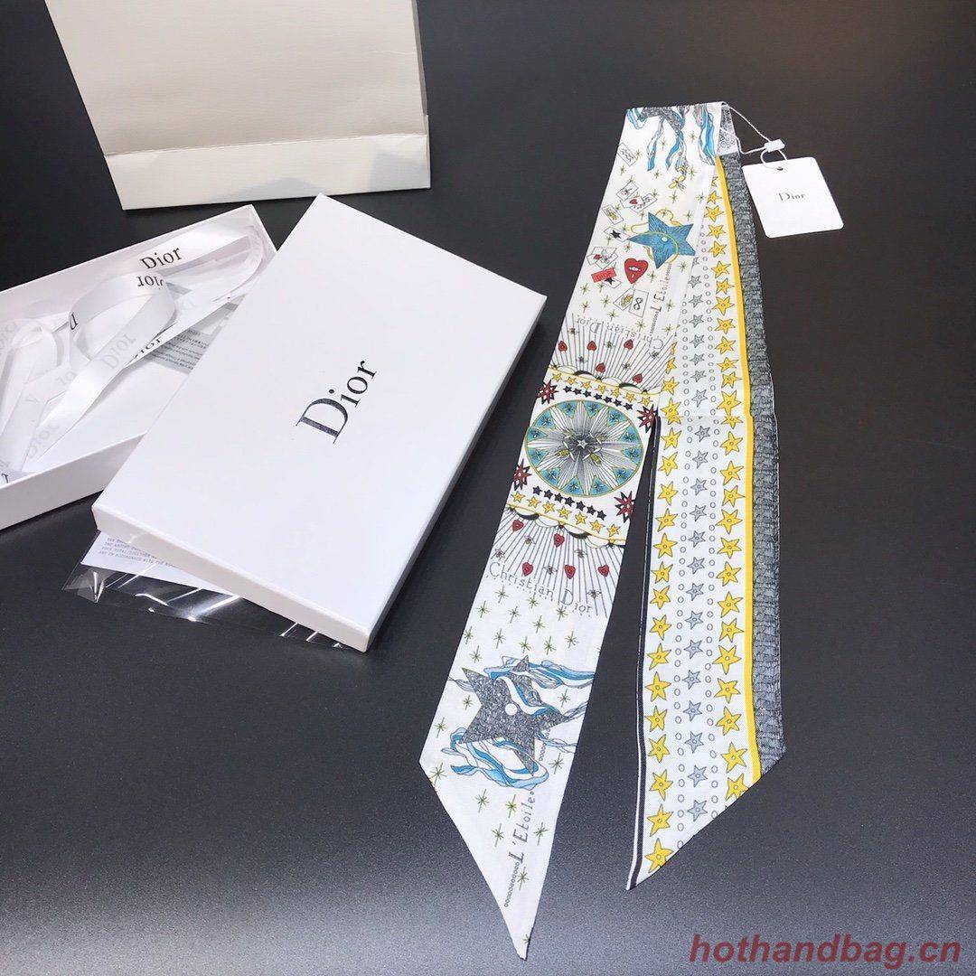 Dior Scarf DIC00012