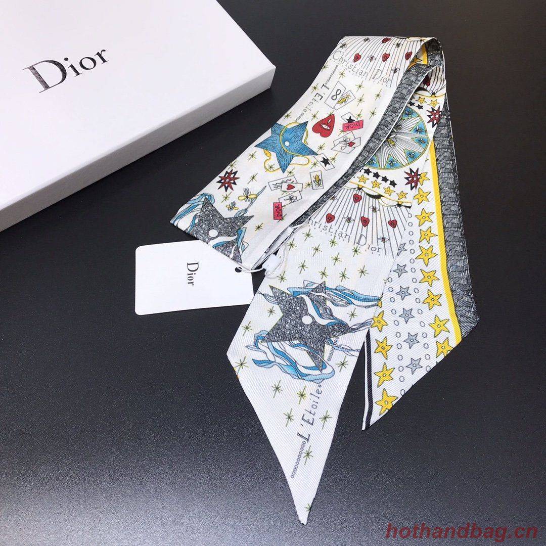 Dior Scarf DIC00012