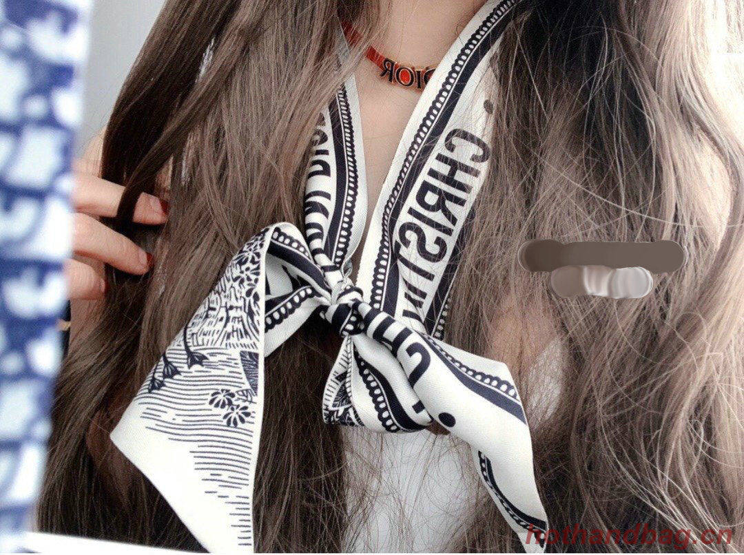 Dior Scarf DIC00021