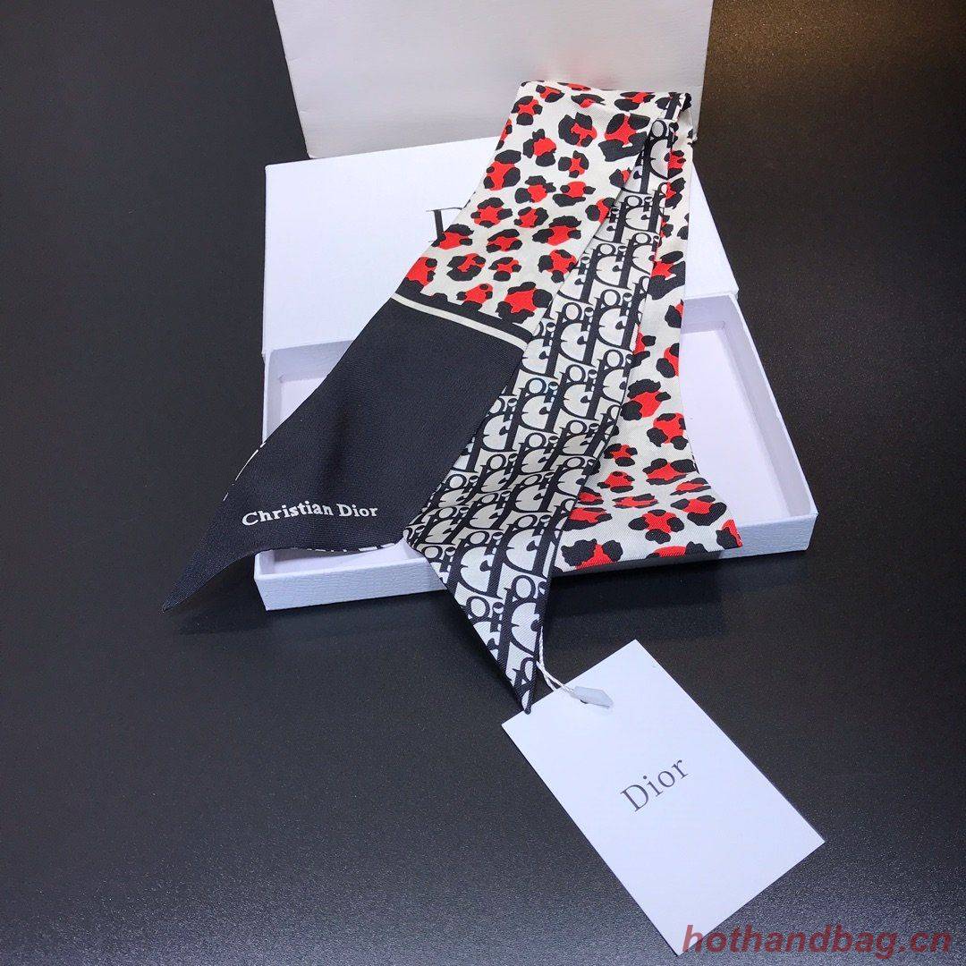 Dior Scarf DIC00024