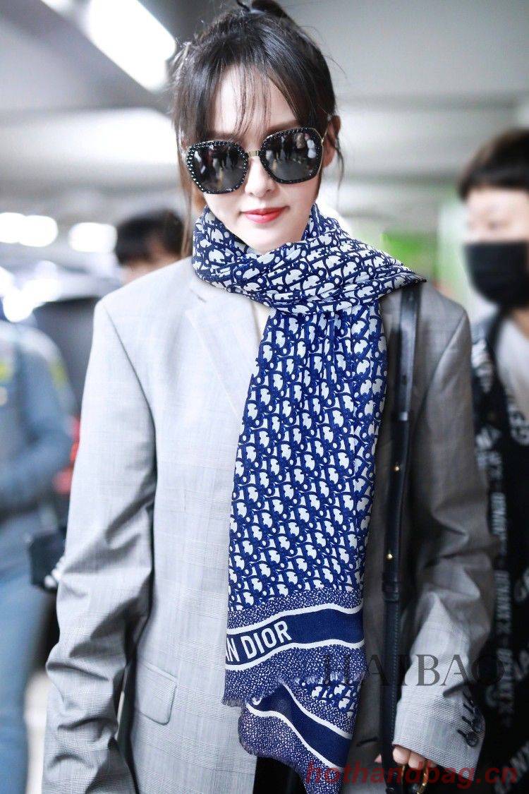 Dior Scarf DIC00034