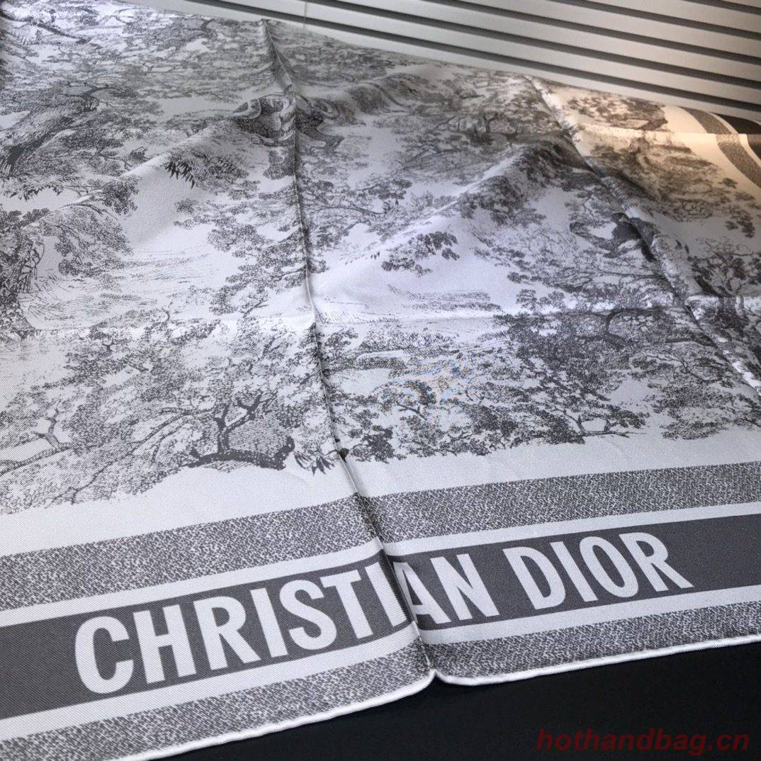 Dior Scarf DIC00058