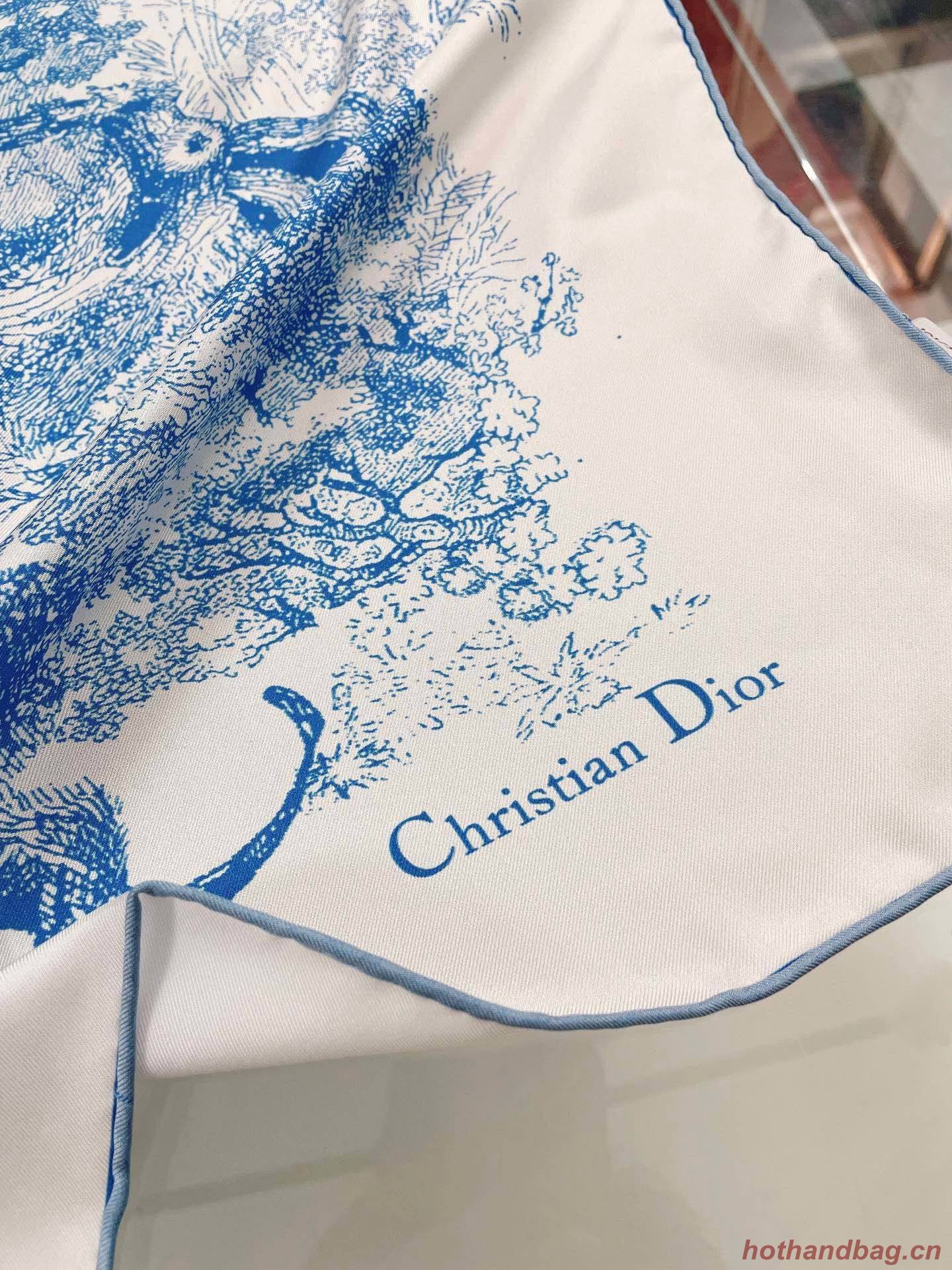 Dior Scarf DIC00063