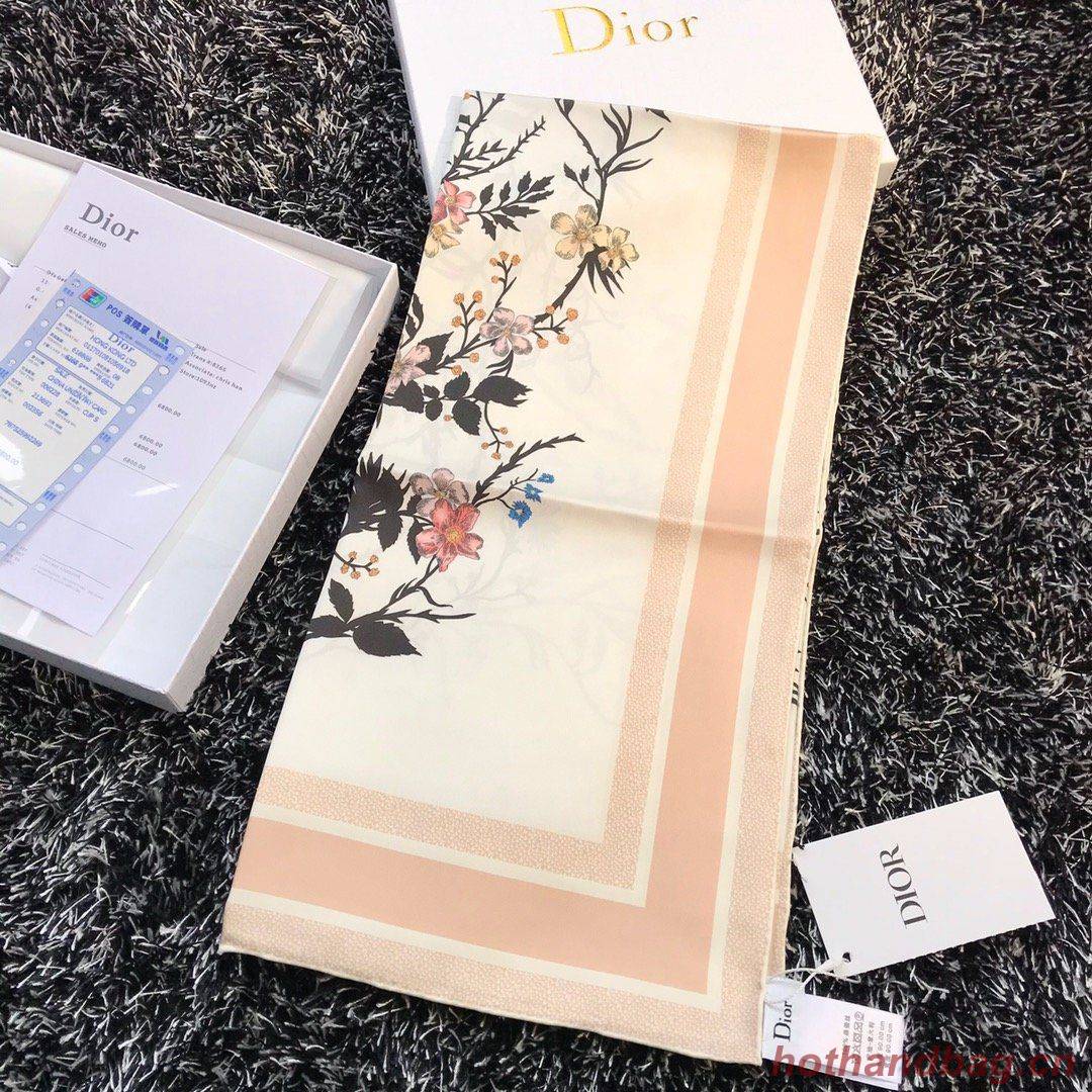 Dior Scarf DIC00068