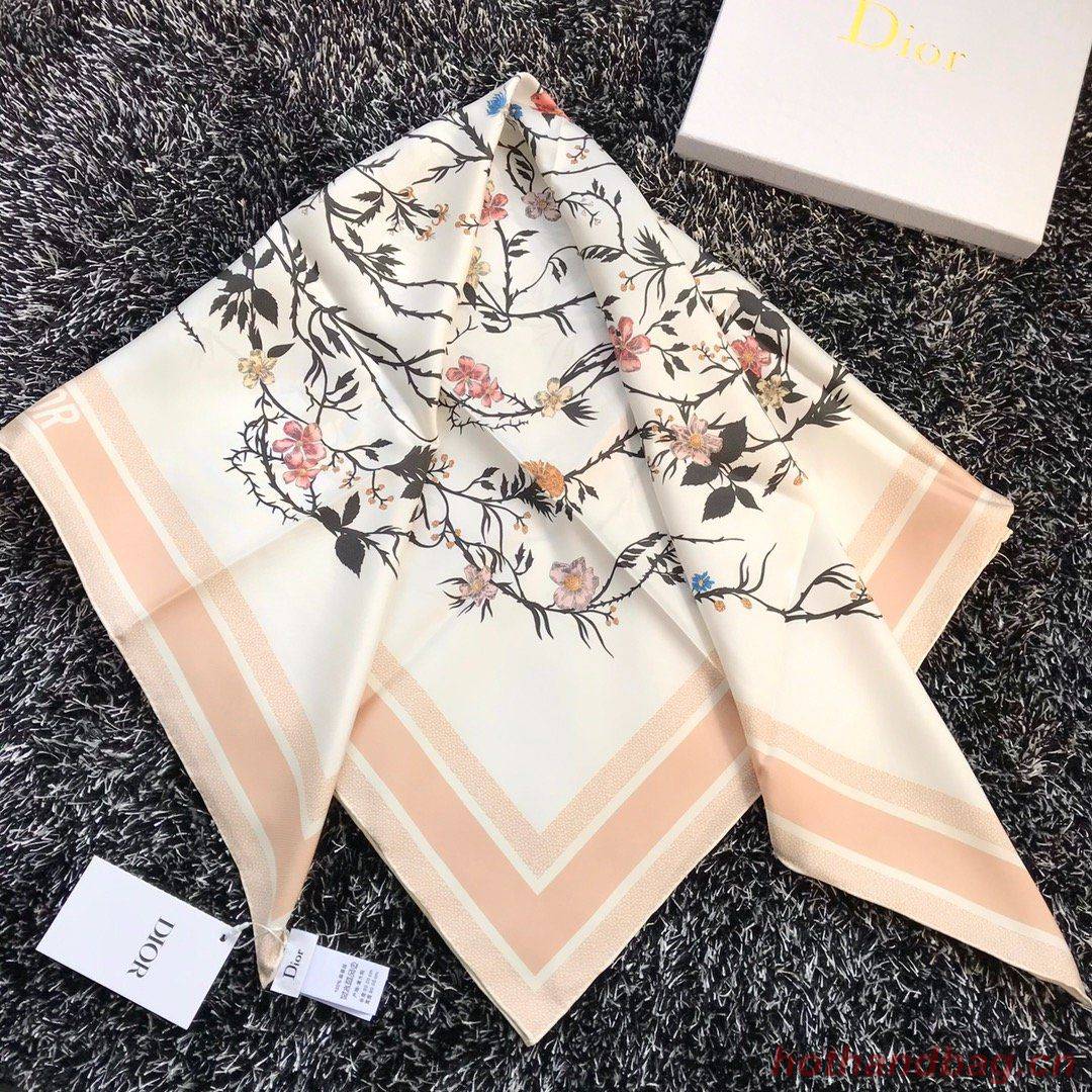 Dior Scarf DIC00068