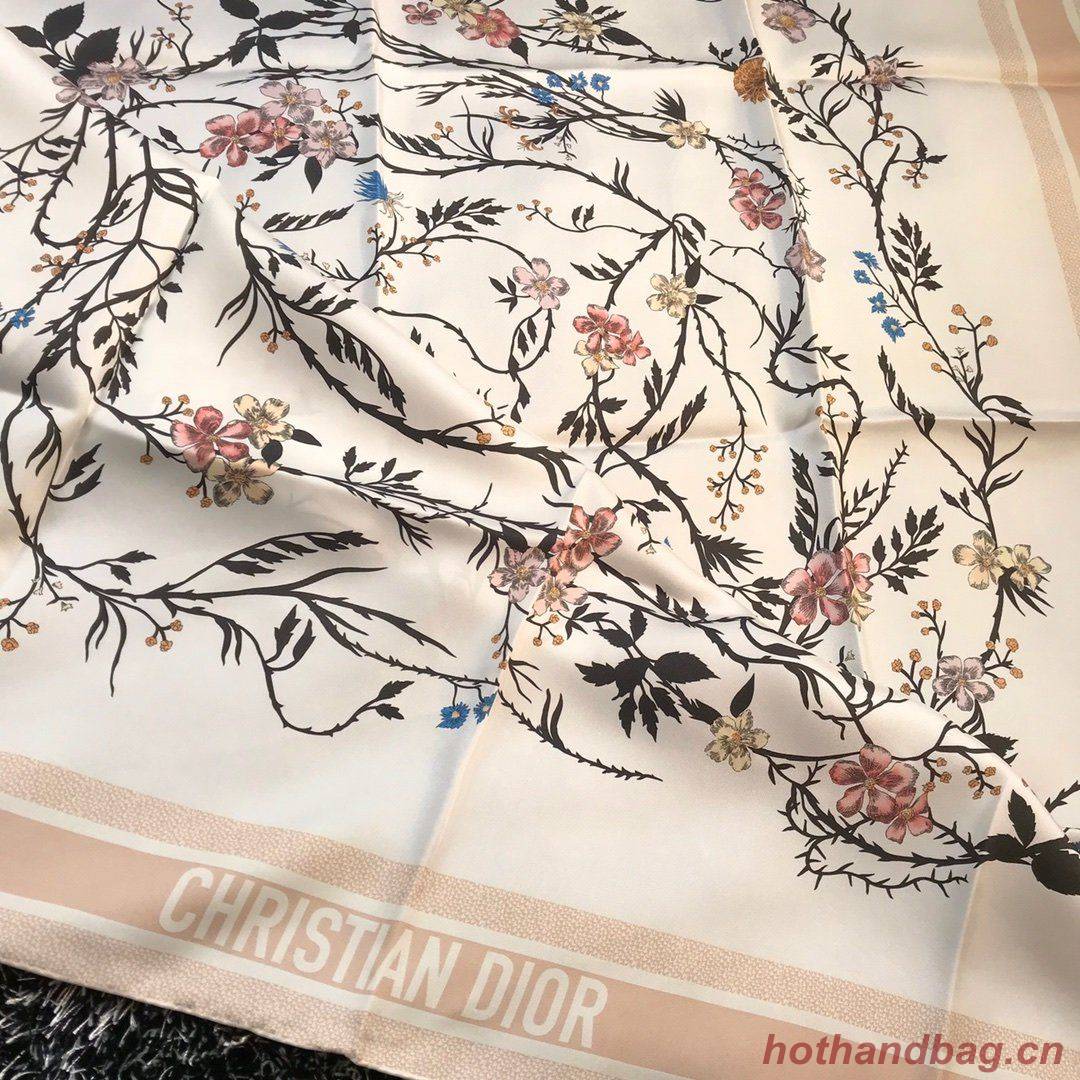 Dior Scarf DIC00068