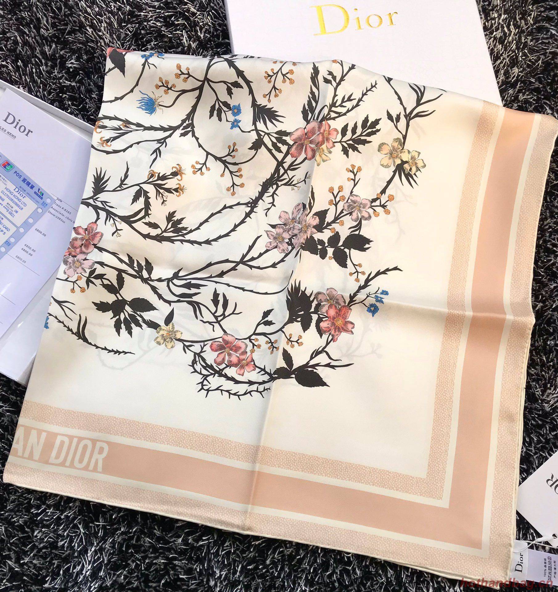 Dior Scarf DIC00068