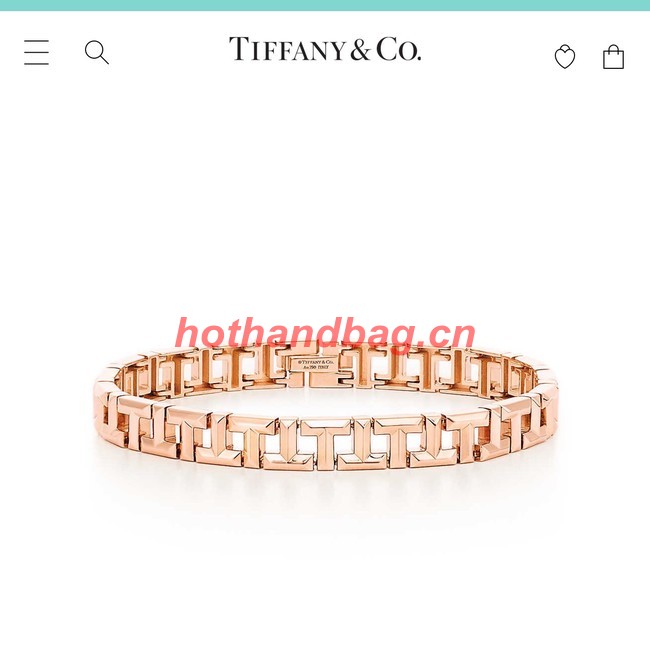 TIFFANY Bracelet CE10113