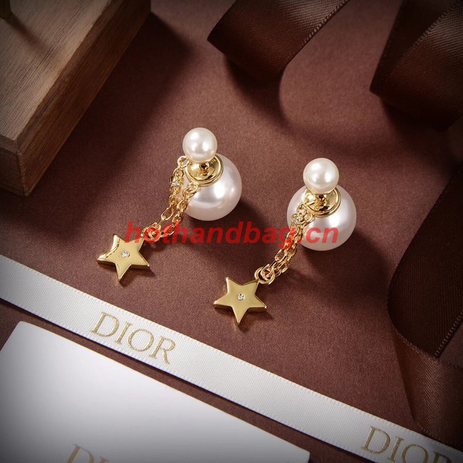 Dior Earrings CE10148