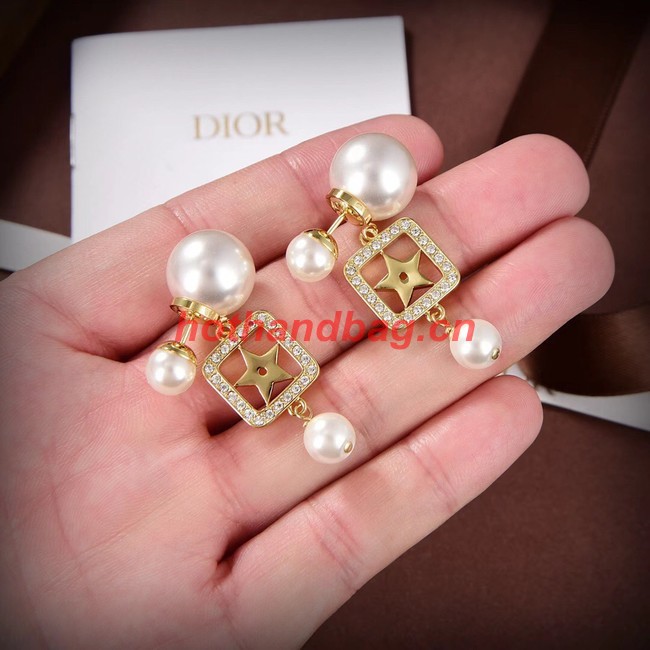 Dior Earrings CE10150