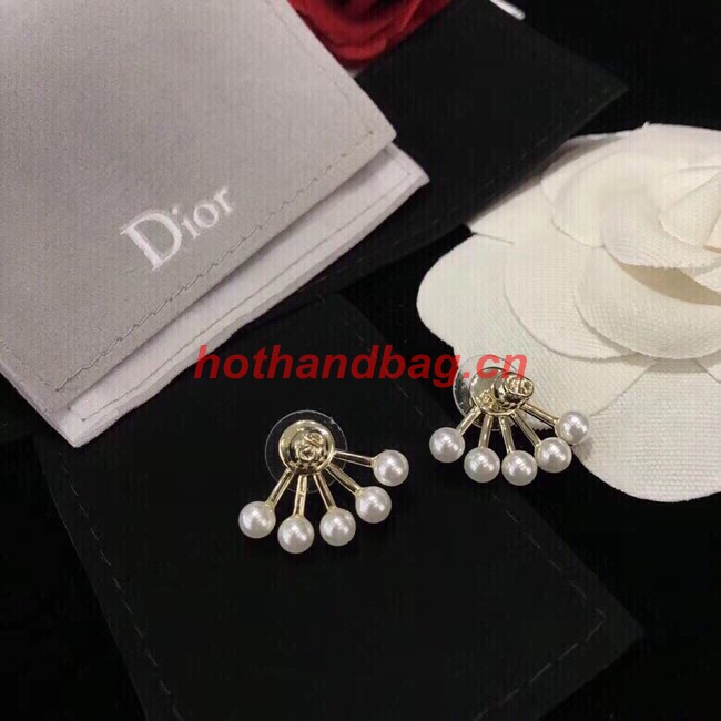 Dior Earrings CE10651