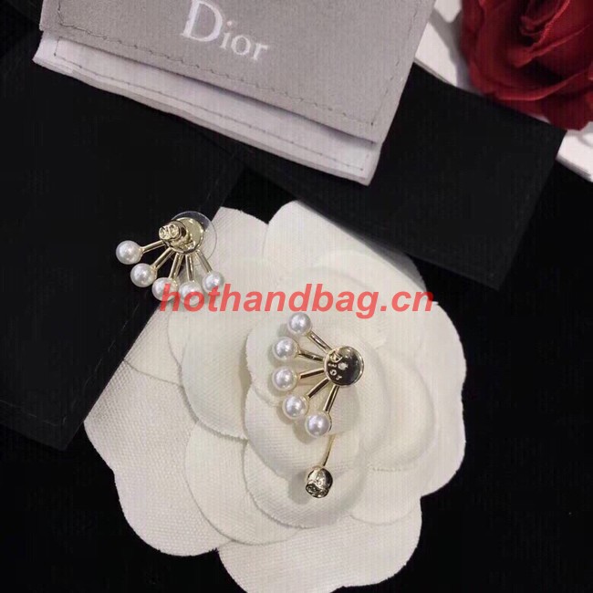 Dior Earrings CE10651