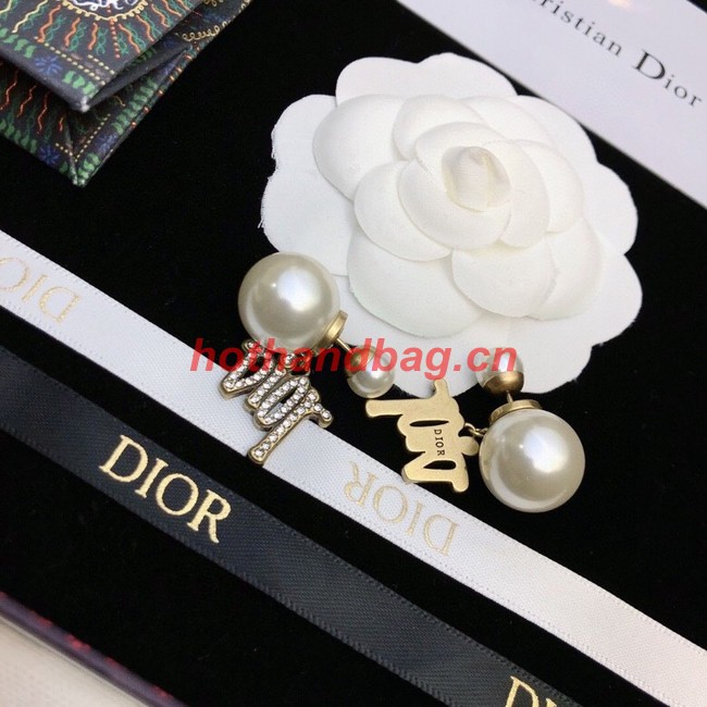 Dior Earrings CE11409