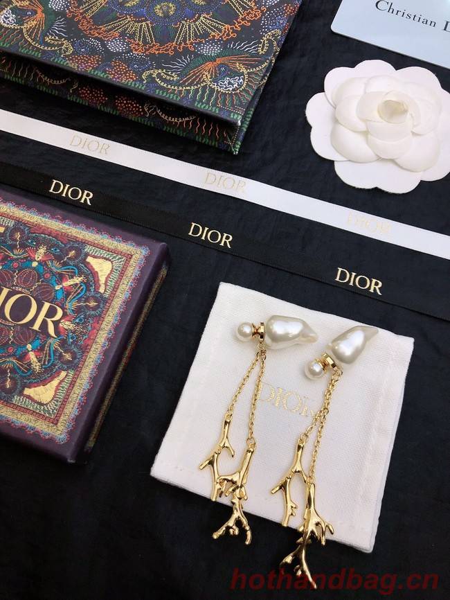 Dior Earrings CE11661