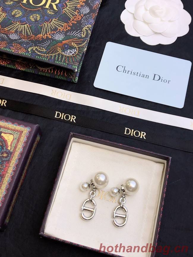 Dior Earrings CE11669