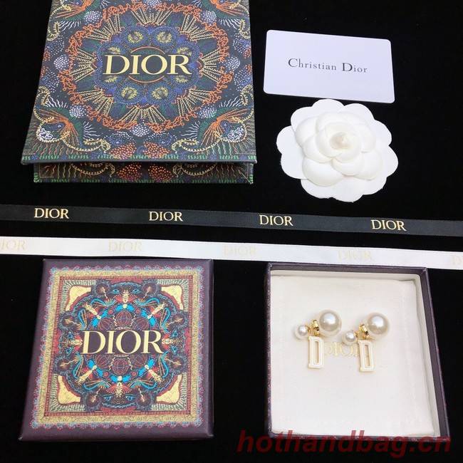 Dior Earrings CE11672