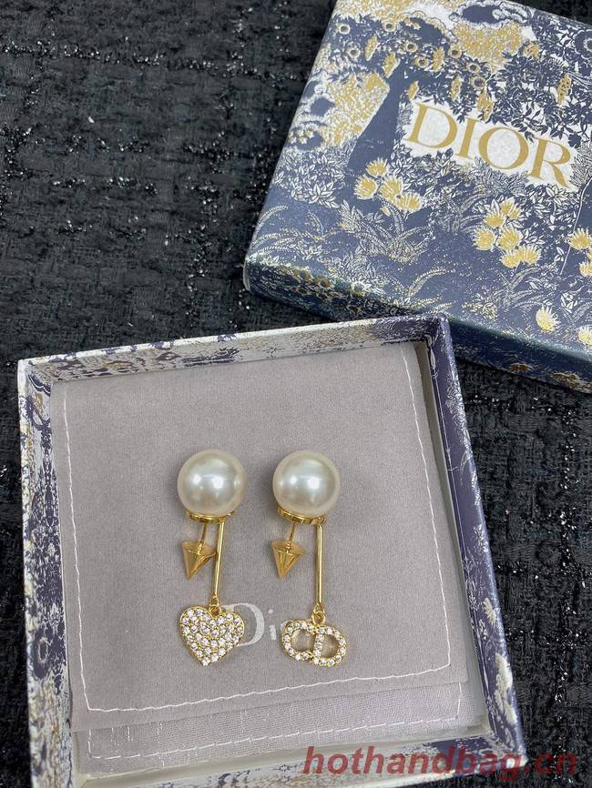 Dior Earrings CE11684