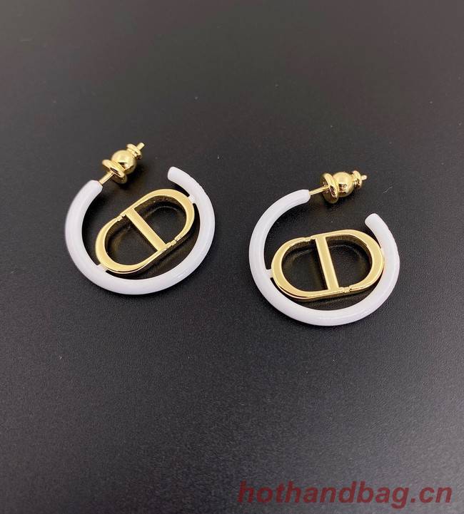 Dior Earrings CE11700