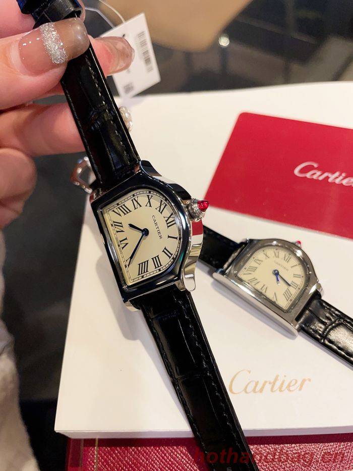 Cartier Watch CTW00213